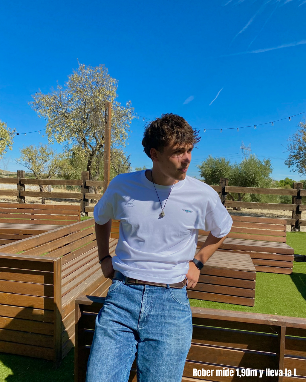 Fernando is Faster Than You